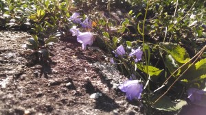 IMG_20140814_153459418