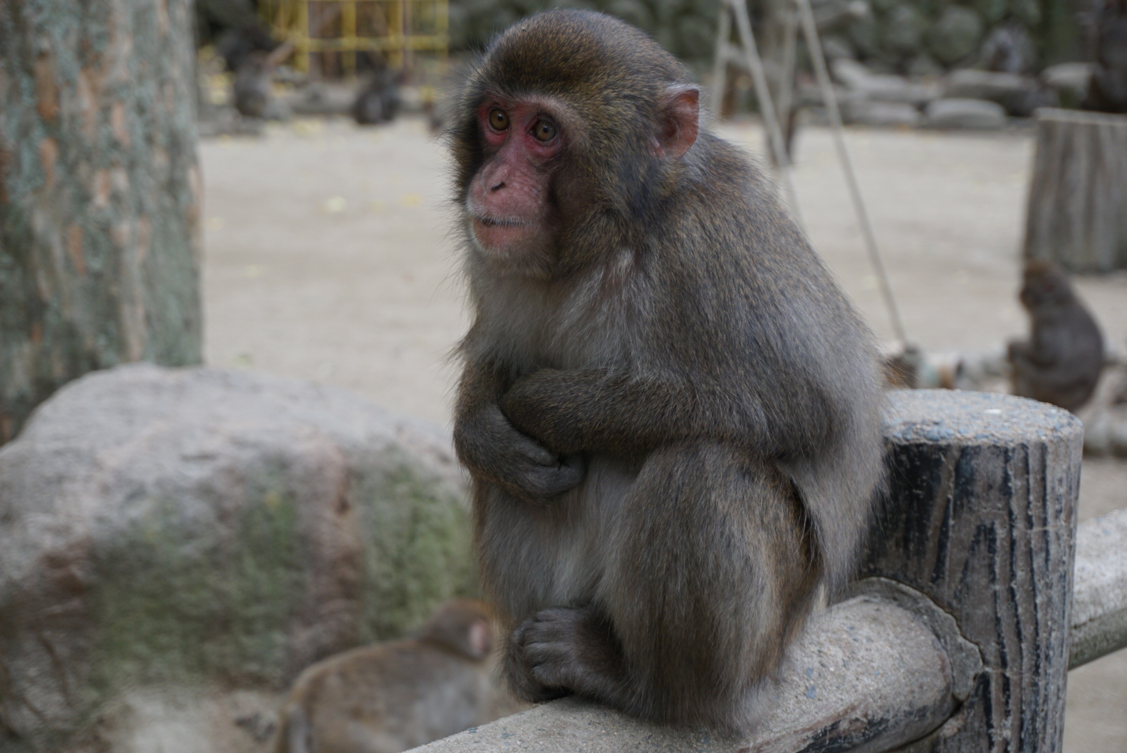 2014-12-14_07-58-12 image