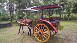 IMG_20150116_113401152