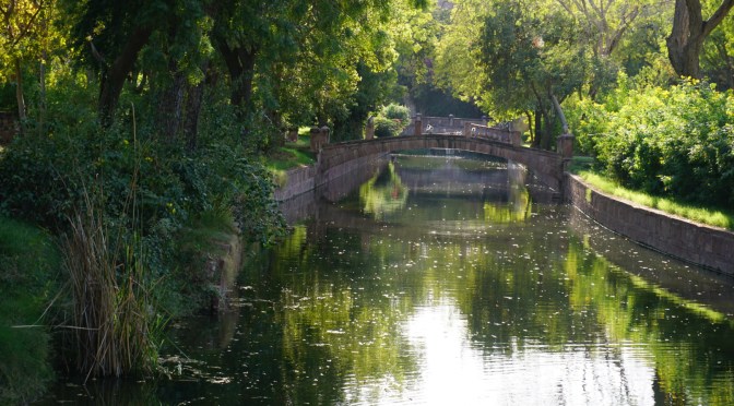 The Beauty of Nature at Bal Samand