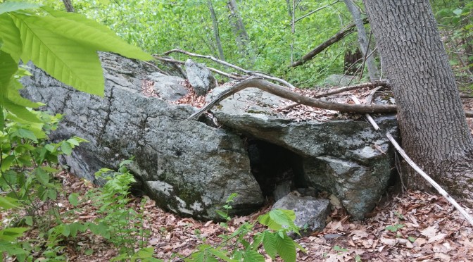 Into the Lair of the Beast